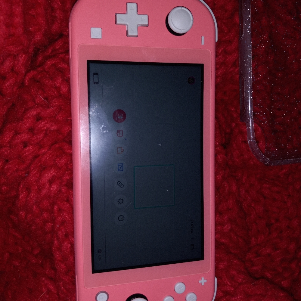 Switch lite